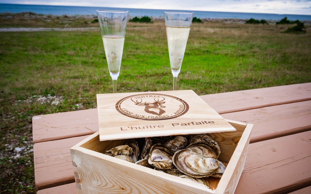 oysters