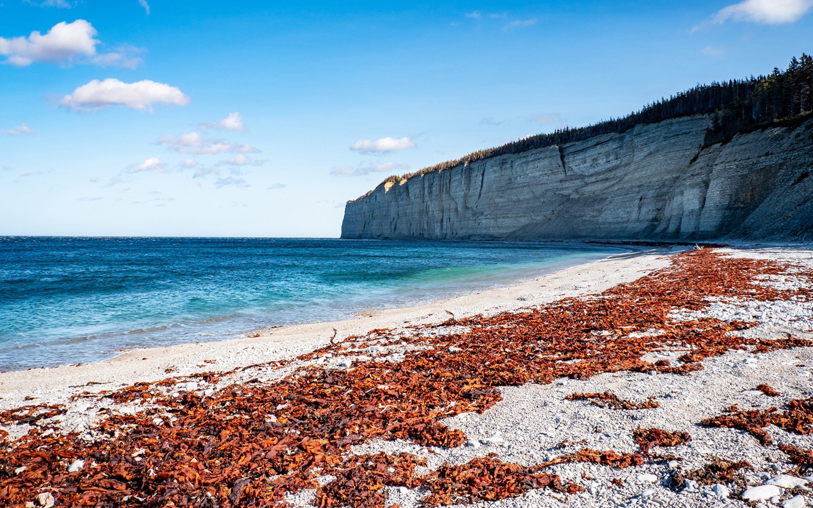 baie-de-la-tour